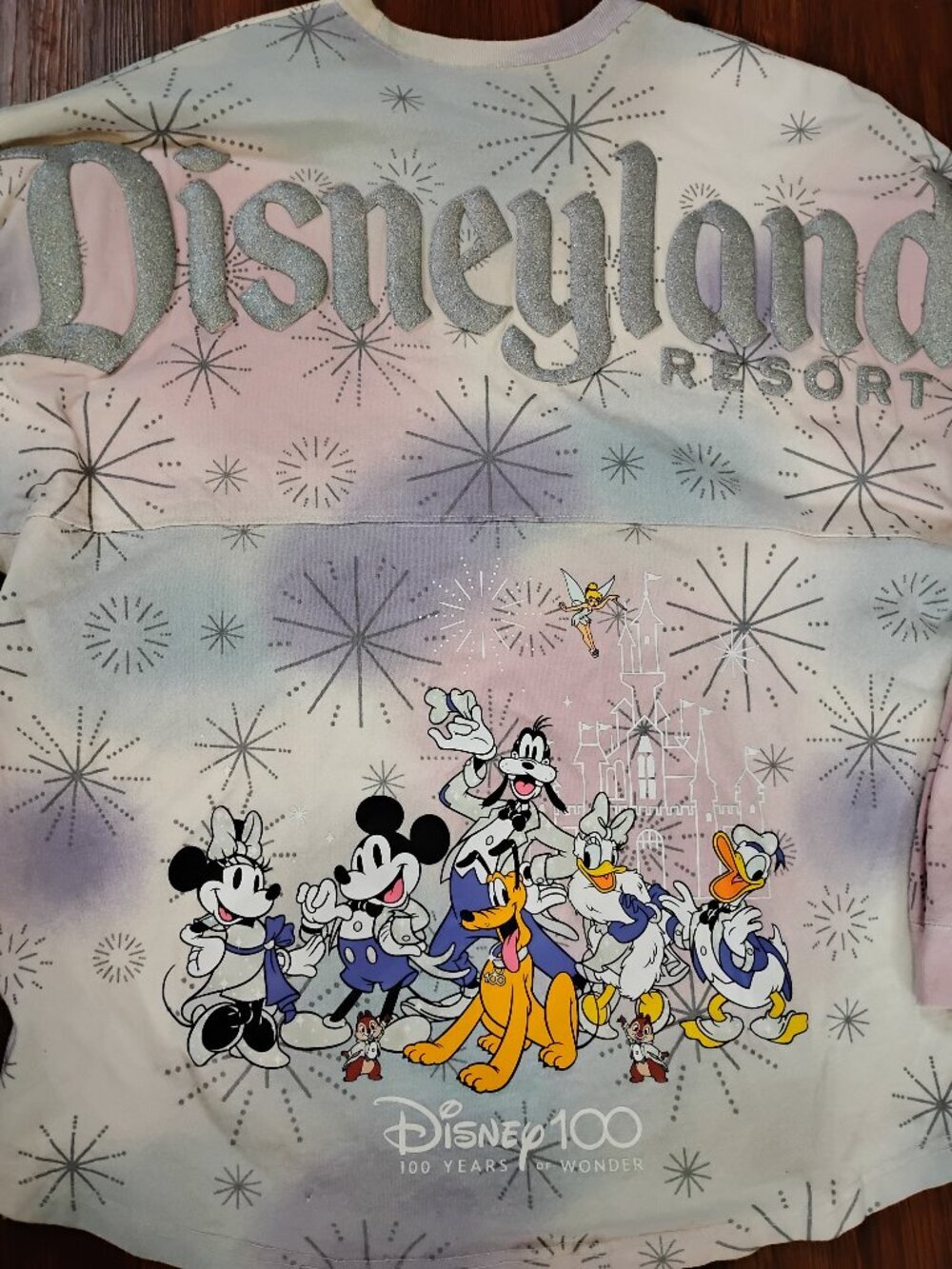 Disney 100 Disneyland Resort Spirit Jersey